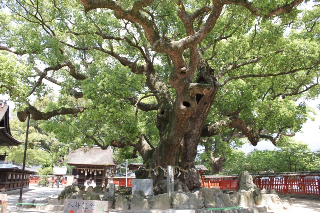 宇美八幡宮